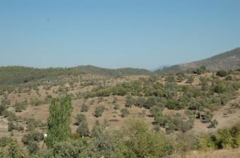 DİRİM EMLAK ESTATE AGENCY MuĞla