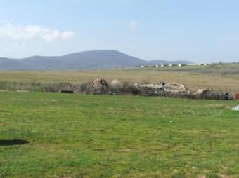 Plots S.ravadinovo