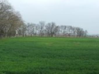 PLots Kameno