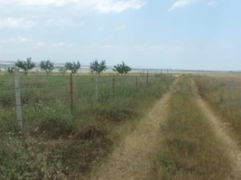 Plot Burgas