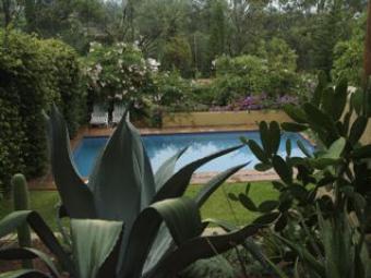 Casa Clavel Morelos