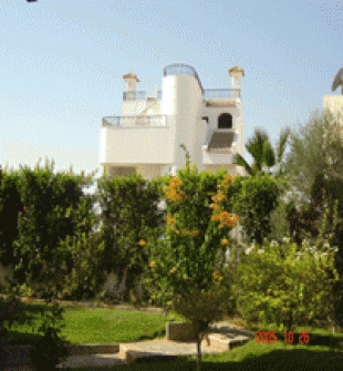 Egypt Realty-villa,office,apartment,building,land Cairo
