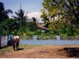 Horse-Ranch Don Gregorio