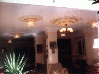 for sale villa in Egypt village Cairo
