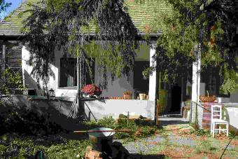 Atrium-Like Garden near Budapest T�r�kb�lint