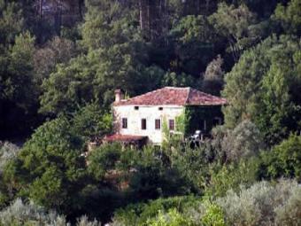 Stone house for sale in Portugal Figueiro Dos Vinhos
