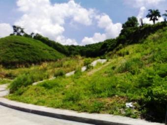 171SQ.M. SINGLE LOT LEFT AT NTE Pardo