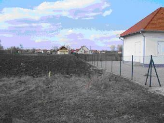 Beautiful plot in Vors Vors