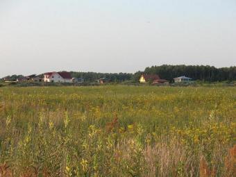 5ha plot of land in Lithuania Klaipeda