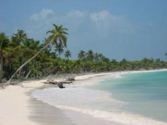 !LargeCaribbeanBeachfront Lots! Tulum