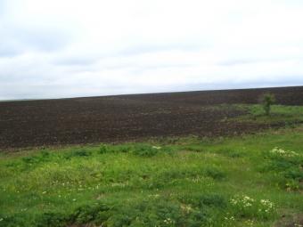 Plot for sale near Kameno Burgas