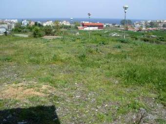 Plot, Sozopol Sozopol