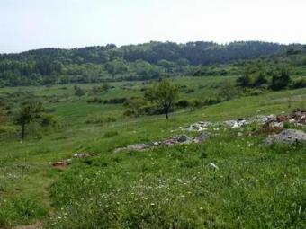 Plot, Sozopol Burgas
