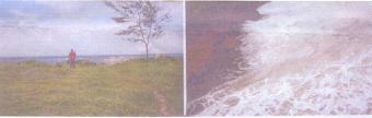 TEn Acre Beach Plot Malindi
