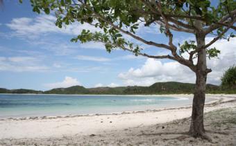 5 hectar plot of land Lombok