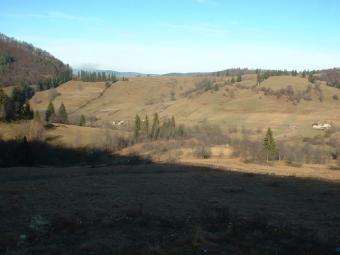 Seeling Offer of a LAND Vama Buzaului