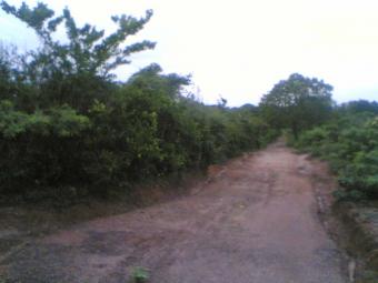 Land for Sale near a Saltern and Hambantota