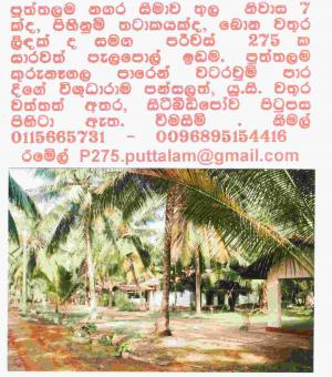 Puttalam Resort for Sale Puttalam