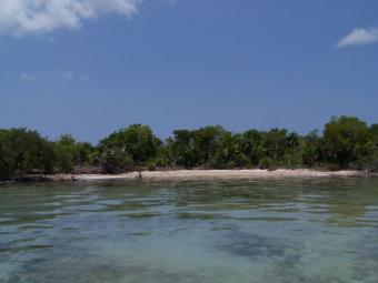 Beautiful lot in Ambergris Bay San Pedro