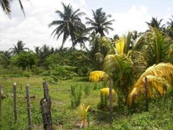 Big lot in ecological reserve El Cuyo