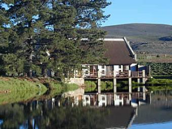 Beautiful Game Farm Littlekaroo