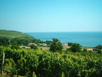 Building plot 590sq.m Byala