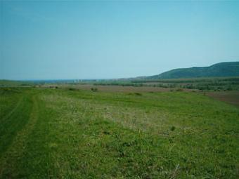 Plot of land 16360sq.m in Byala Byala