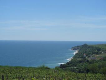 Land near the Yacht port Byala