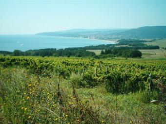 Building plot in Byala Byala
