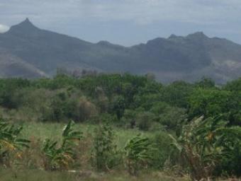 opportunity to invest 230