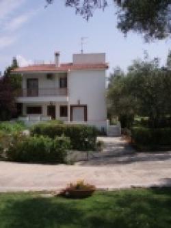 CHALKIDA Poseidonia Evia