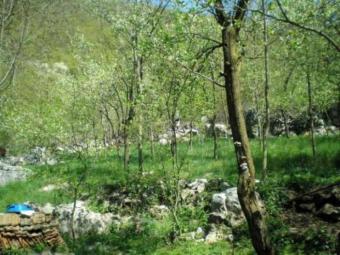 House With Land Gracac