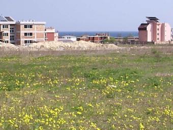 Plot at Ravda Ravda