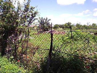 Plot Of Regulated Land For Sale Burgas