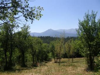 Plot +Haus => Mountine 4300sq.m. Apriltsi