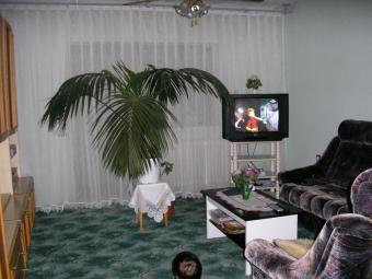 5 Bedroom house for sale Szentl