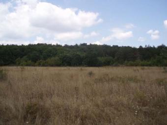 Plot of forested land  Kavatsite Kavatsite