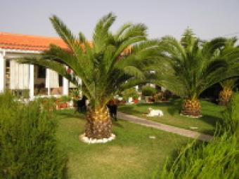 Beautiful Palmgarden Aljezur, Vale Da Telha