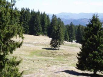 Plot for Sale, Pamporovo BG Pamporovo