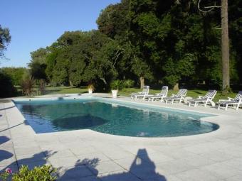 Cattle Ranch Buenos Aires