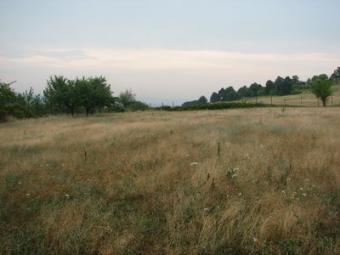 GEO Agency Solnik