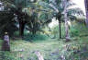 Bosques de Cancun in Q. Roo Close To Cancun Airport
