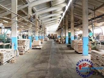 Great opportunity for business Plovdiv