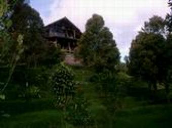 The Mountain Hideaway Banjar Bedugul