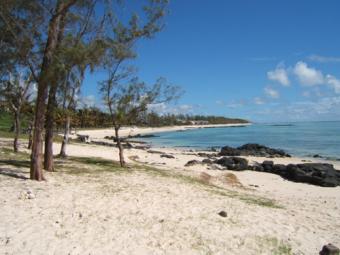 RARE OPPORTUNITY MAURITIUS Palmar