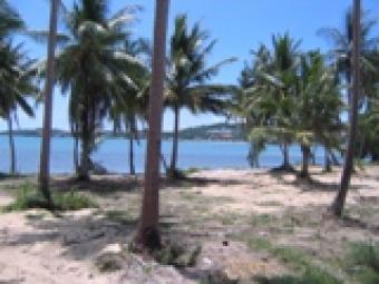 !!!Hot beach land!!!!!! Ko Samui
