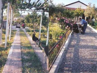 Land of 4.000 m2 for sale Athens