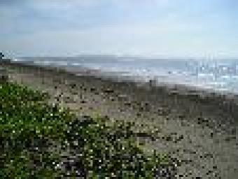 WORLD TRADE REALTY GROUP Santa Catalina