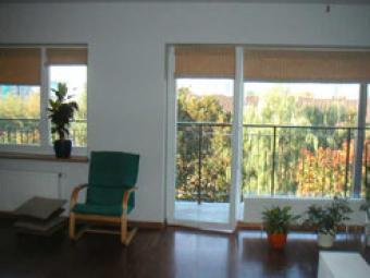 wonderful flat Vilnius