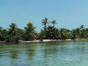 swab caye San Pedro
